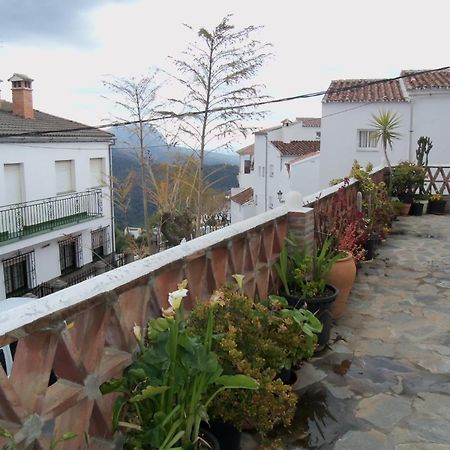 Apartamentos Rurales Jardines Del Visir Genalguacil Exterior foto