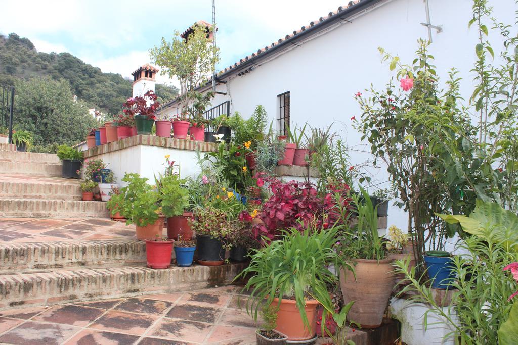 Apartamentos Rurales Jardines Del Visir Genalguacil Exterior foto