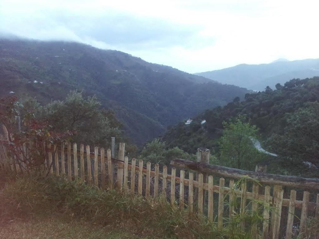 Apartamentos Rurales Jardines Del Visir Genalguacil Exterior foto